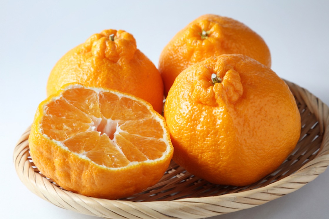 picture of mandarin oranges